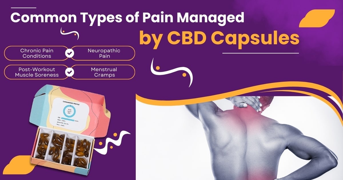 CBD capsules for pain